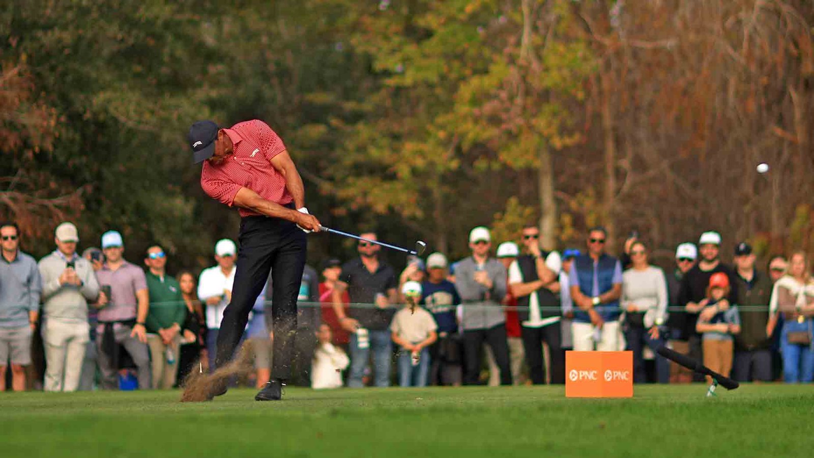 Tiger Woods