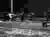 012926-fatal_crash-012926-9